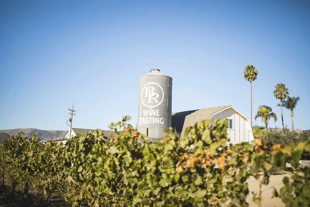 Chamisal Vineyards