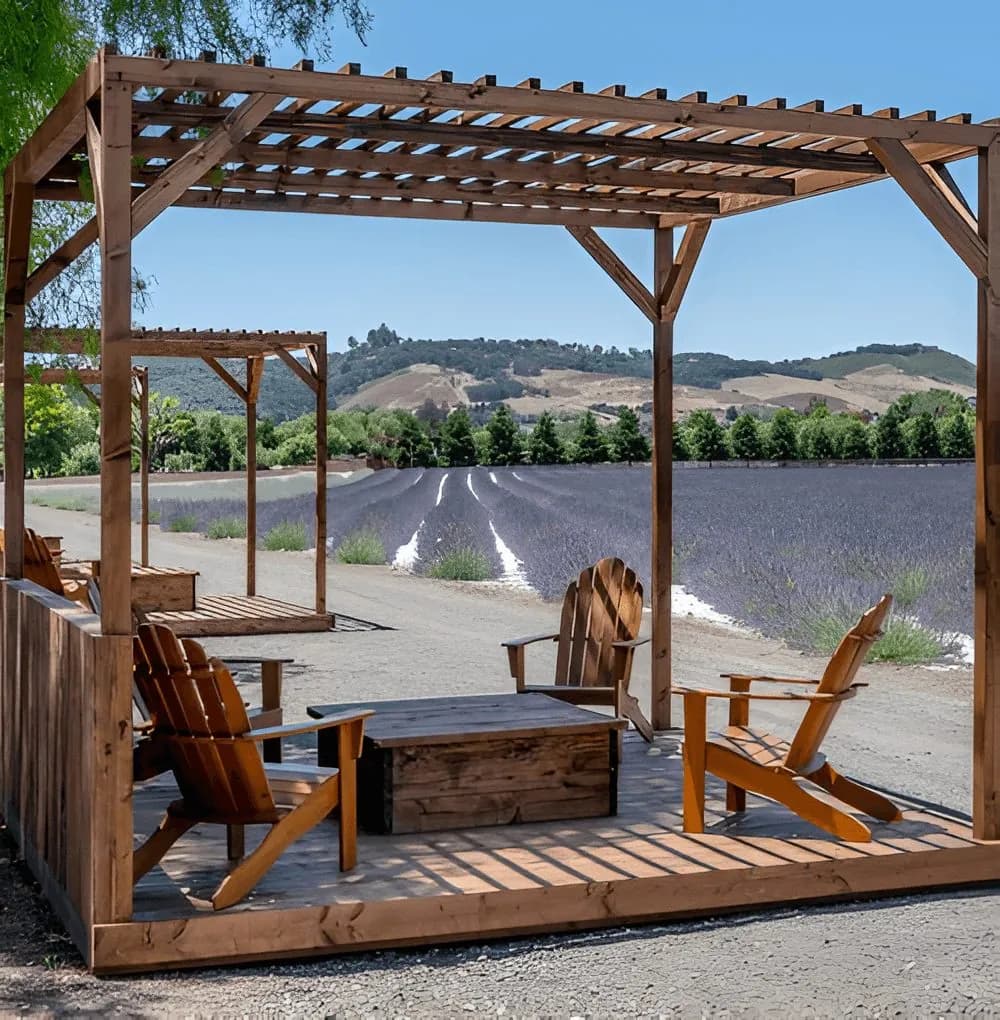 Bungalows beside the Cavalli lavender fields