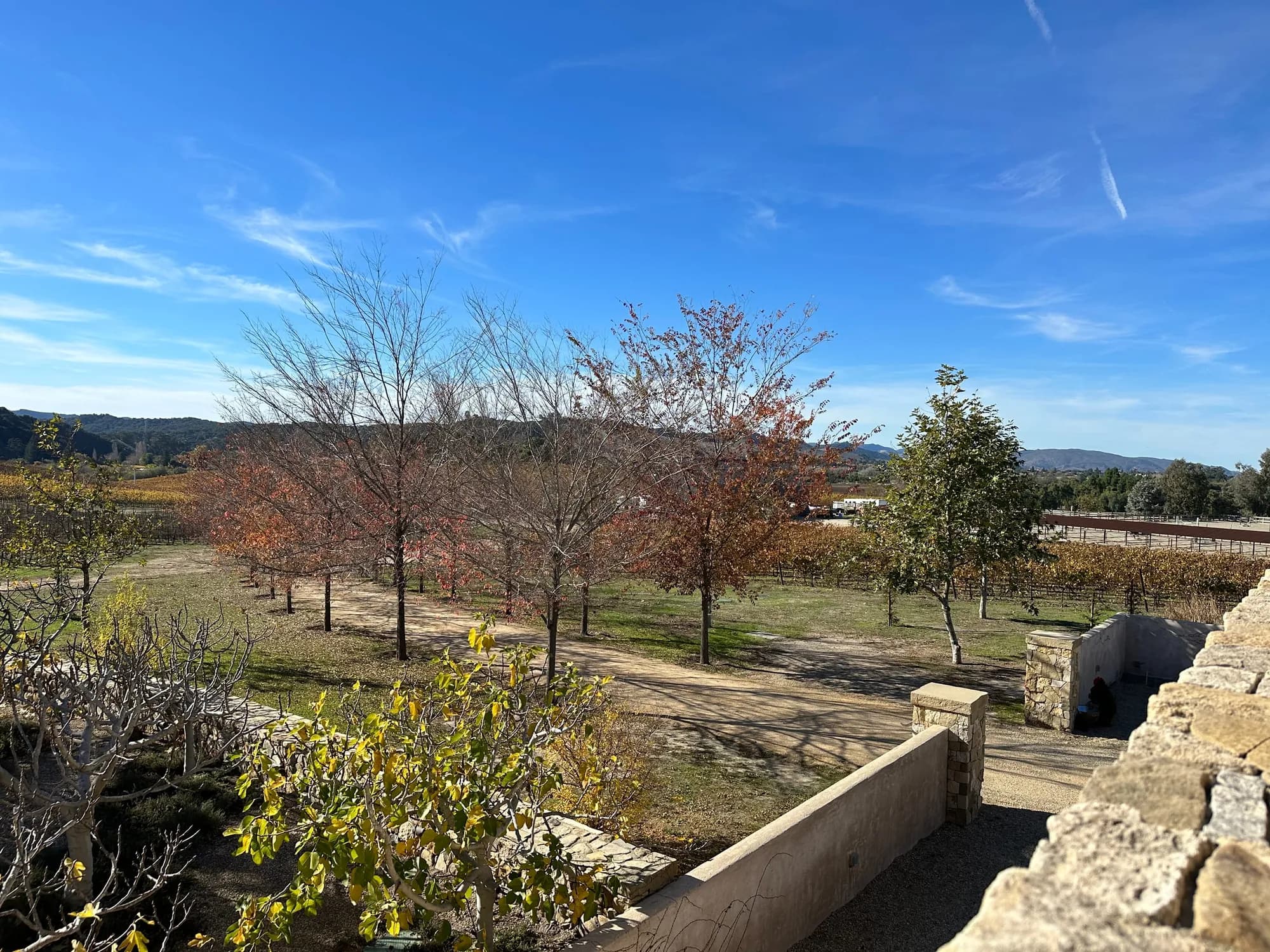 Vineyard House driveway