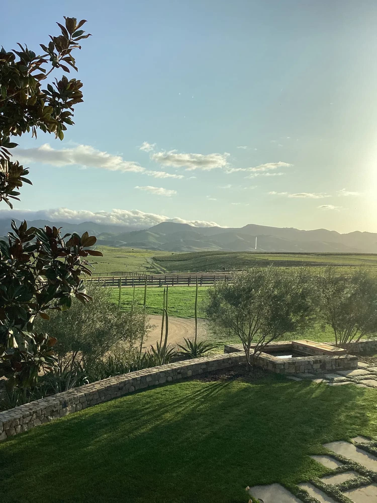 Vineyard House View