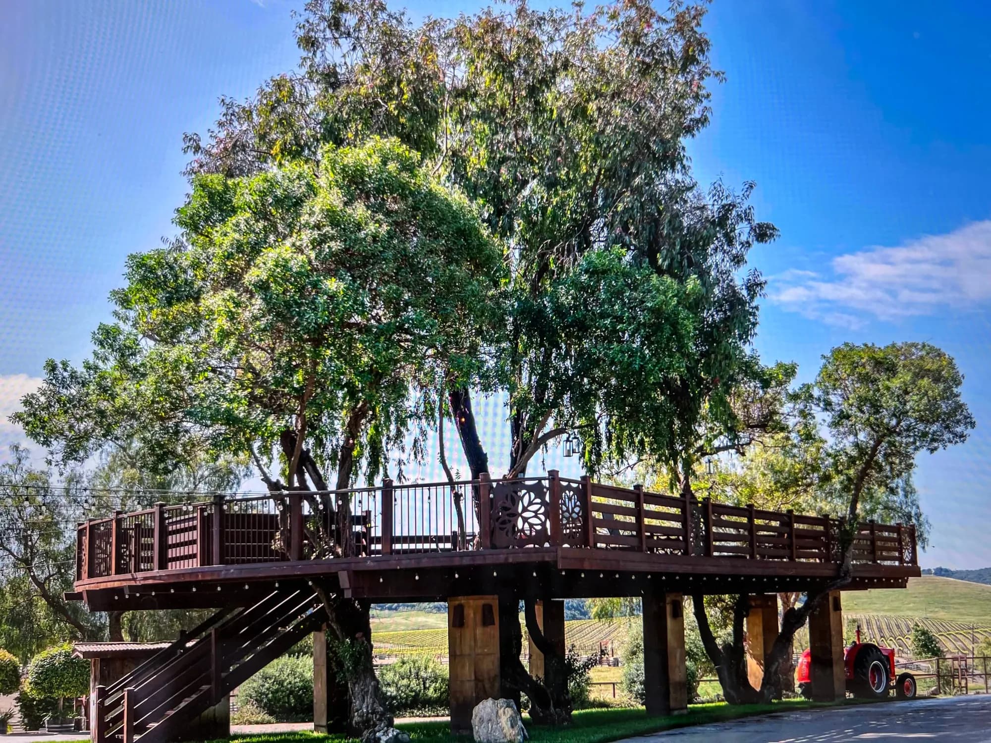 Treehouse