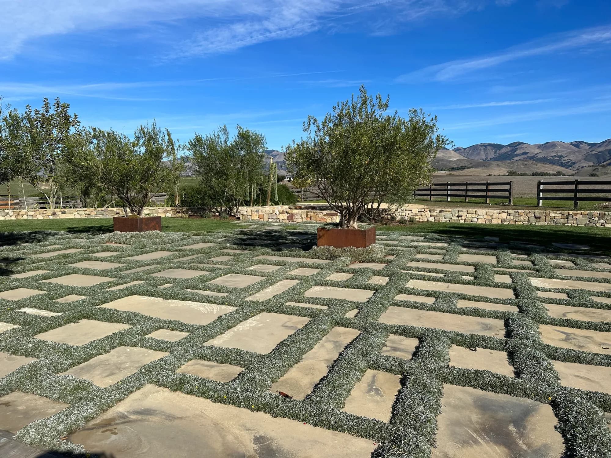 Vineyard House yard