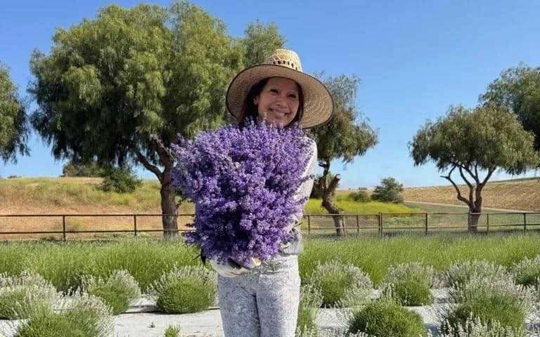 Lisa Lavender