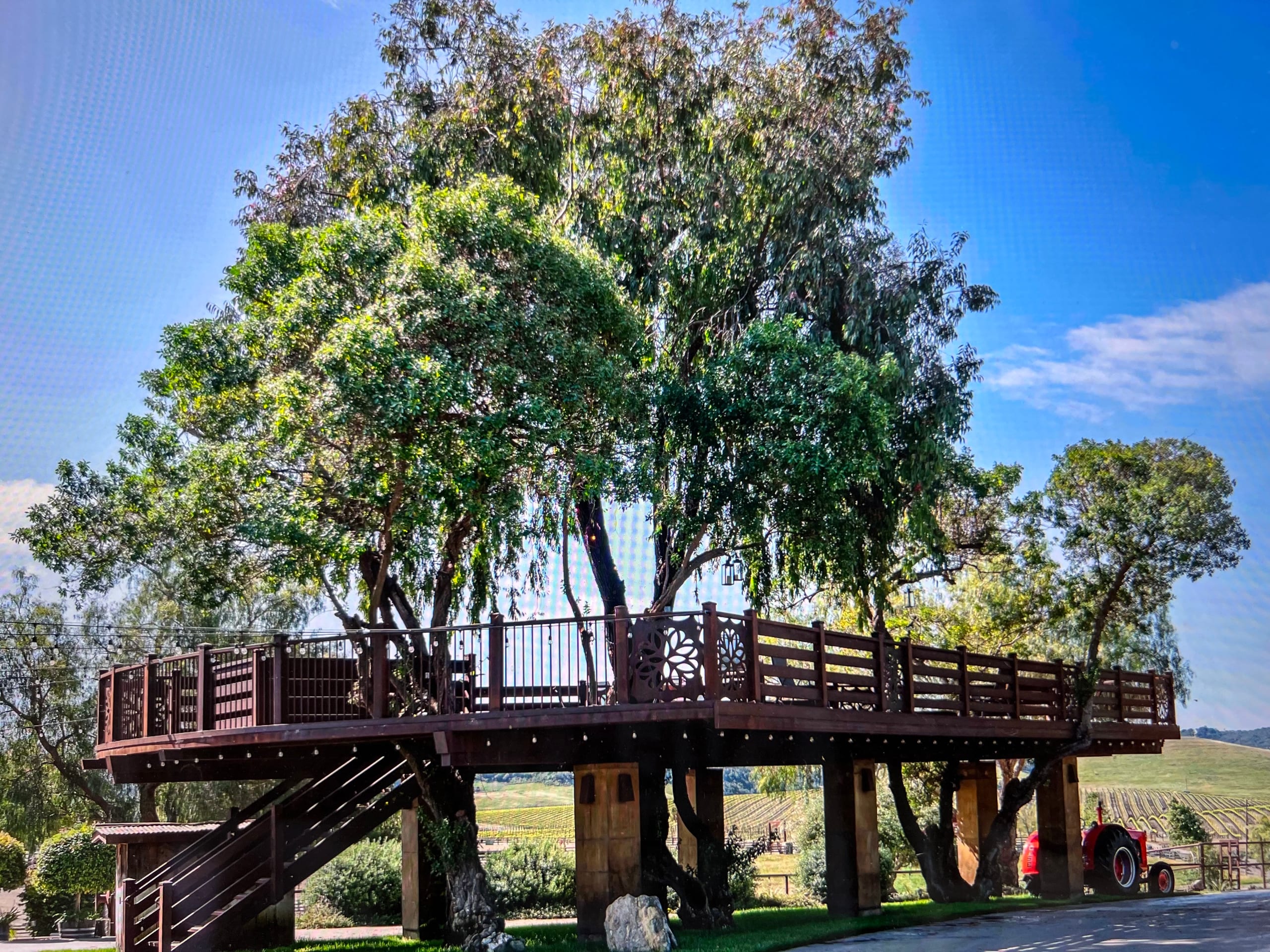 Treehouse